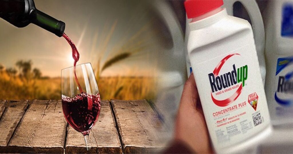 „Monsanto“ kenksmingas cheminis glifosatas, rastas 100 % Kalifornijos vynų, išbandytų