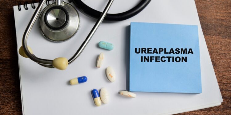 Ureaplasma parvum gydymas