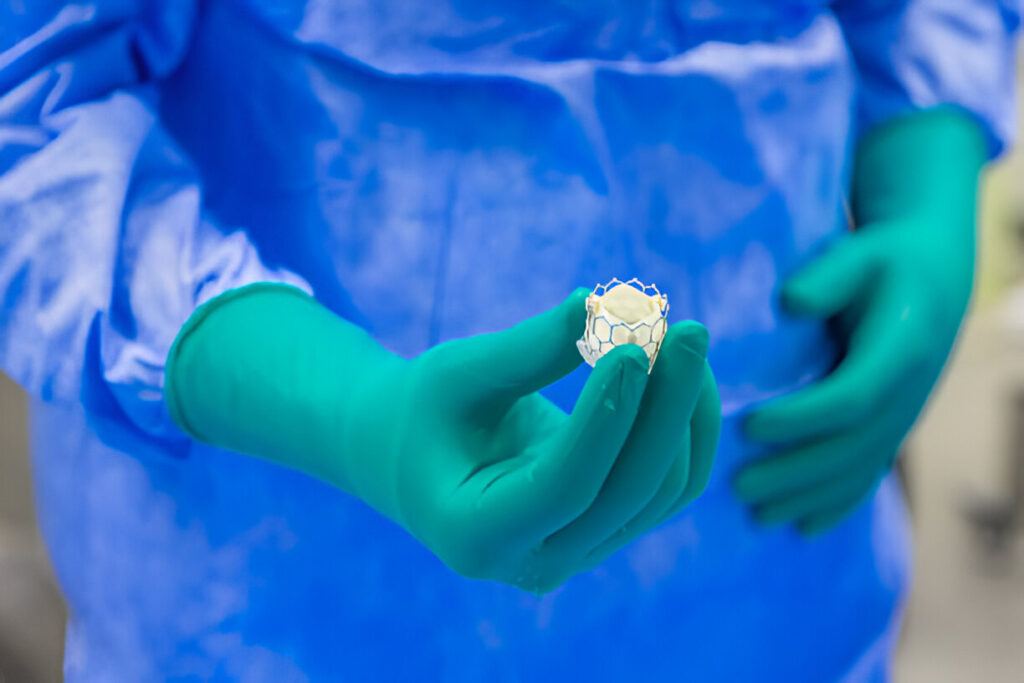 Transkateterinė aortos vožtuvo implantacija: ką žinoti?