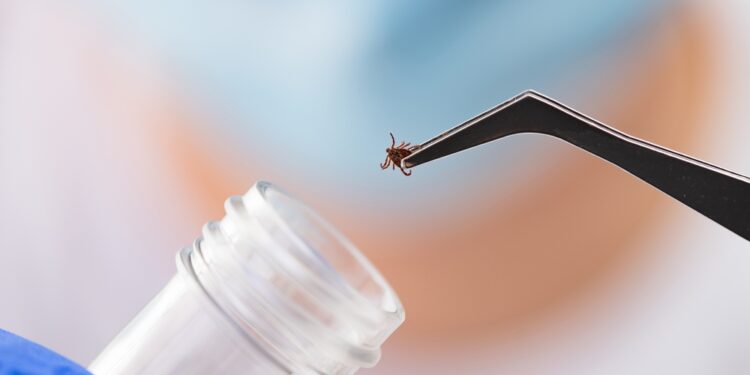 Autoimuninis encefalitas: kas tai, simptomai ir gydymas