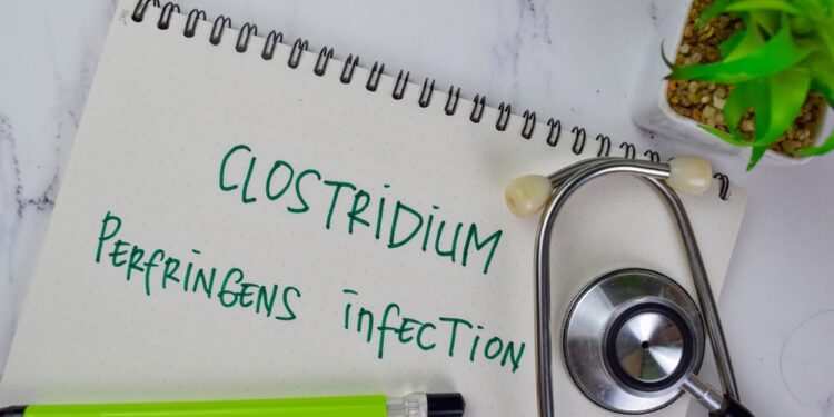 Clostridium perfringens: Apsinuodijimas maistu, simptomai ir prevencija