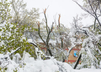 Degeneracinė stuburo diskų liga: kas tai, simptomai ir gydymas