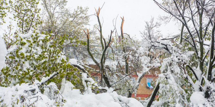 Degeneracinė stuburo diskų liga: kas tai, simptomai ir gydymas