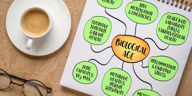 Pagrindinis metabolinių rodiklių tyrimas: esmė, atlikimo tvarka ir rezultatai