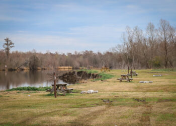 Šarlio Bonė sindromas: Priežastys ir simptomai