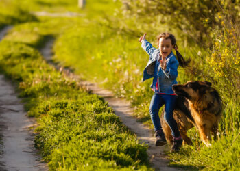 Kinofobija (šunų baimė): priežastys ir gydymas