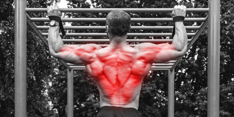 Plačioji šoninė šlaunies raumenų dalis