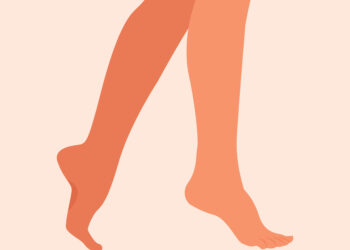 Kulnas: sandara, funkcijos ir reikšmė kasdieniams judesiams