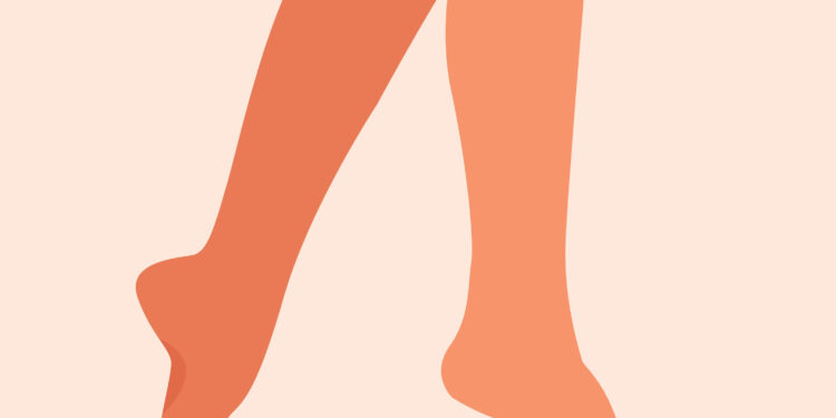 Kulnas: sandara, funkcijos ir reikšmė kasdieniams judesiams