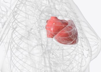 Dešinysis prieširdis