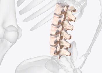 L3 slankstelis: vaidmuo, pažeidimų priežastys ir gydymo galimybės