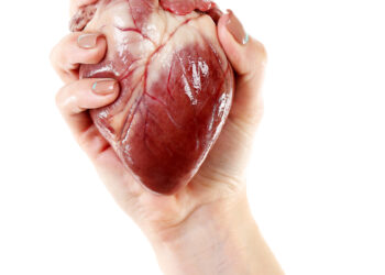 Kairieji prieširdžiai