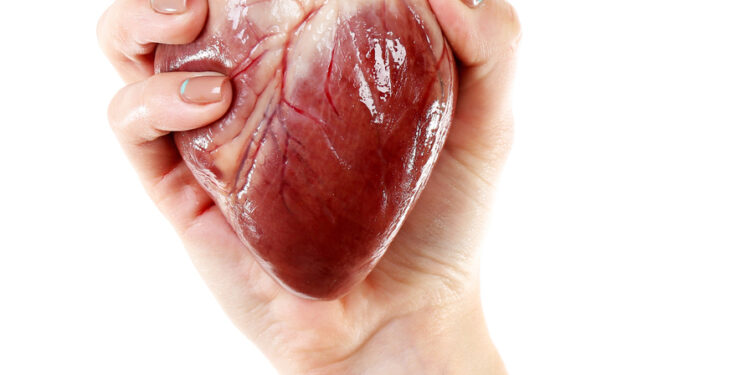 Kairieji prieširdžiai