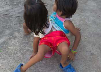 Siamo dvyniai: apibrėžimas, priežastys ir prognozė