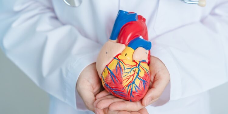 Širdies ir kraujagyslių ligos: tipai, priežastys ir simptomai