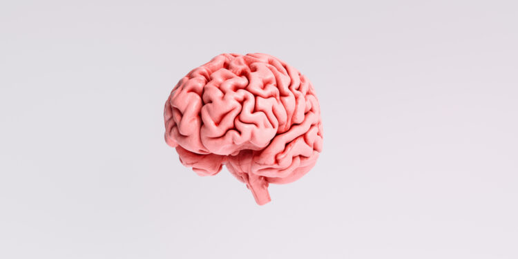 Smegenėlių degeneracija: priežastys, simptomai ir gydymas