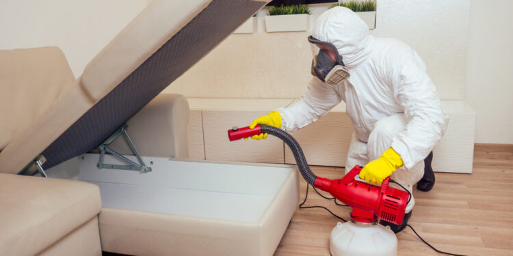 Tarakonų alergija: simptomai, diagnostika ir gydymas