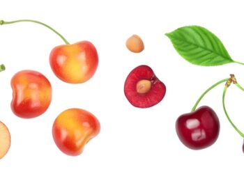 Vyšninis angiolipas: kas tai, priežastys ir šalinimas