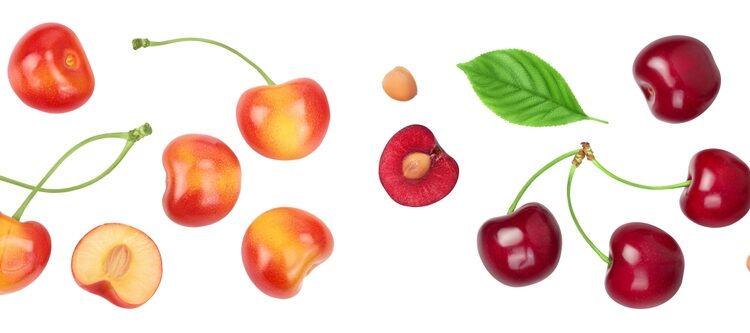 Vyšninis angiolipas: kas tai, priežastys ir šalinimas