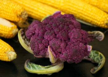 Žiedinių kopūstų ausis: simptomai, priežastys ir gydymas