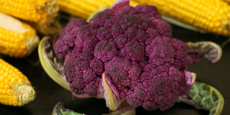 Žiedinių kopūstų ausis: simptomai, priežastys ir gydymas