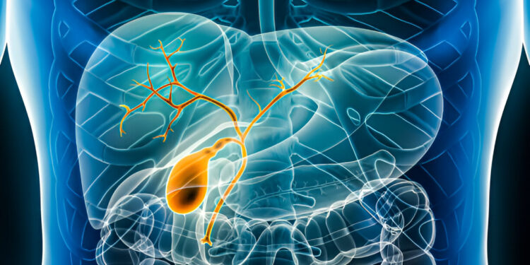 Bendrasis tulžies latakas