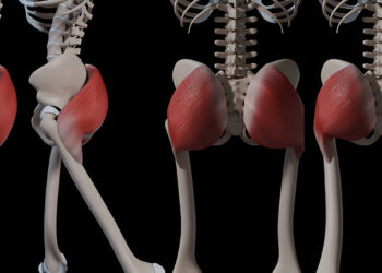 Didysis sėdmens raumuo