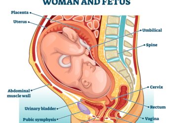 Virštinė virkštelės prisitvirtinimo vieta: priežastys, diagnostika ir gydymas