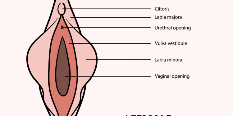 Neplyšusi mergystės plėvė: priežastys, simptomai, diagnozė ir gydymas