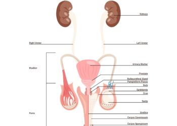 Šlaplės angos susiaurėjimas: priežastys, simptomai, diagnostika ir gydymas