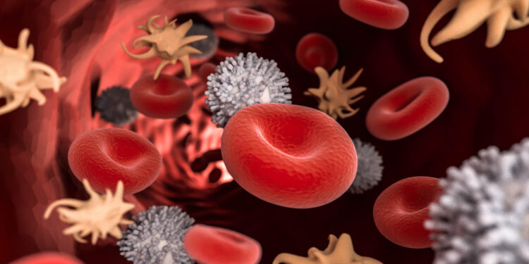 Hemofilija C (XI faktoriaus trūkumas): kas tai, simptomai ir gydymas