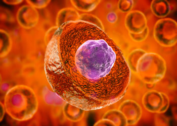 Žmogaus parechovirusas (PeV): simptomai, priežastys ir gydymas