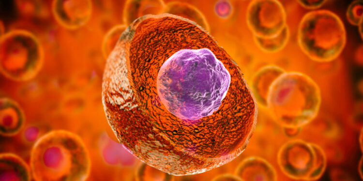 Žmogaus parechovirusas (PeV): simptomai, priežastys ir gydymas