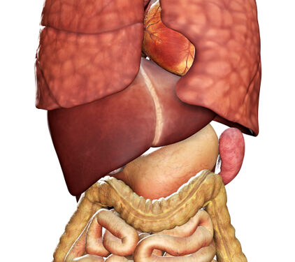 Klatskino navikai (hiluminė cholangiokarcinoma)