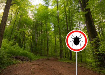 Leptomeningalinė liga: kas tai, simptomai ir prognozė