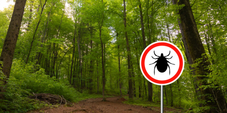 Leptomeningalinė liga: kas tai, simptomai ir prognozė