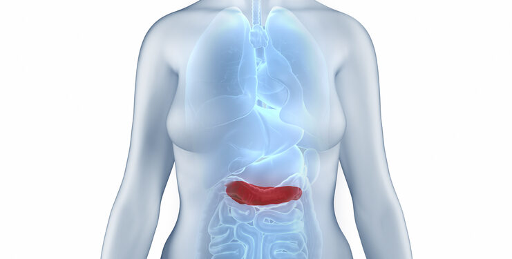 Žemas progesterono lygis: priežastys, simptomai, tyrimai ir gydymas
