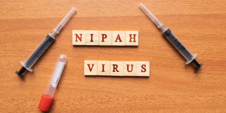 Nipah virusas: priežastys, simptomai, diagnostika ir gydymas