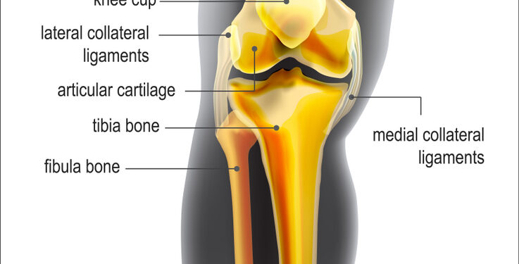 Auklės alkūnė: simptomai ir gydymas