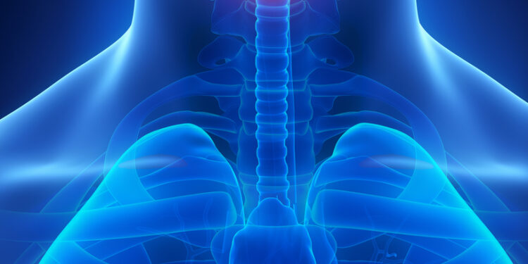 Hipoparatirozė: priežastys, simptomai ir gydymas