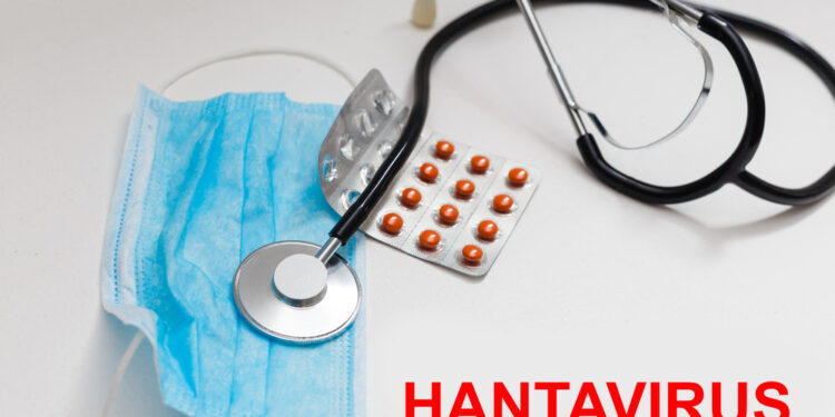 Hantavirusinis plaučių sindromas: simptomai ir gydymas