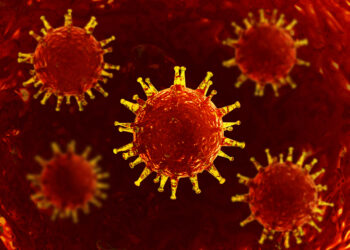 Orthopoxvirus: rūšys, perdavimo būdai, simptomai ir gydymas