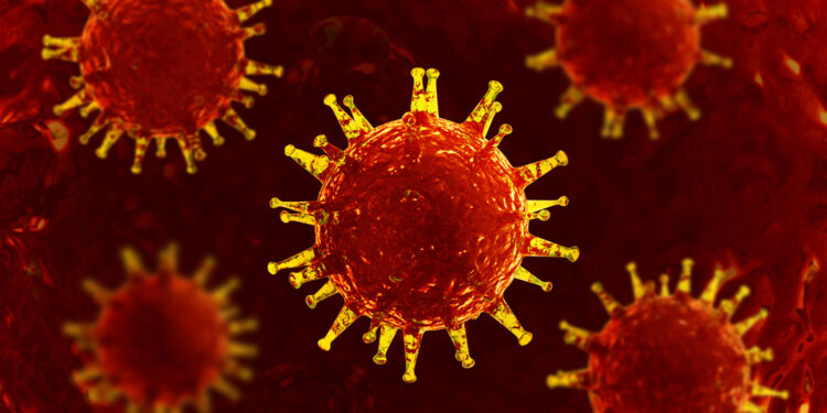 Orthopoxvirus: rūšys, perdavimo būdai, simptomai ir gydymas