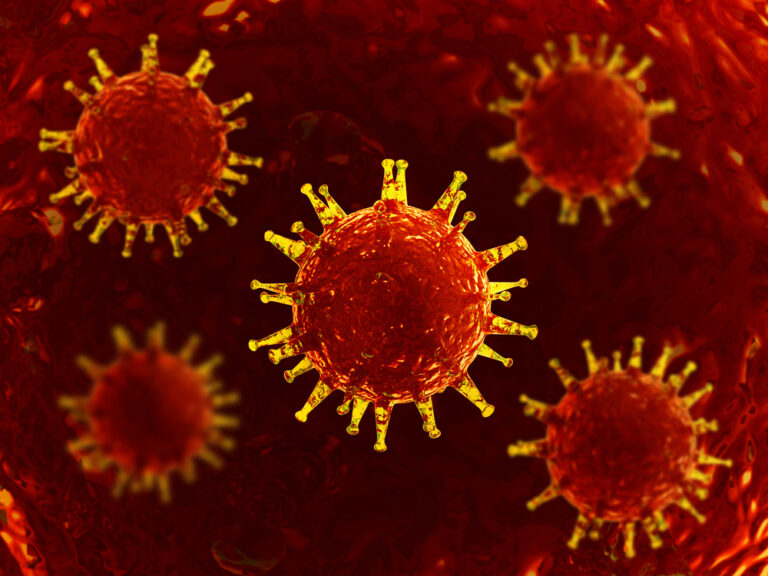 Orthopoxvirus: rūšys, perdavimo būdai, simptomai ir gydymas