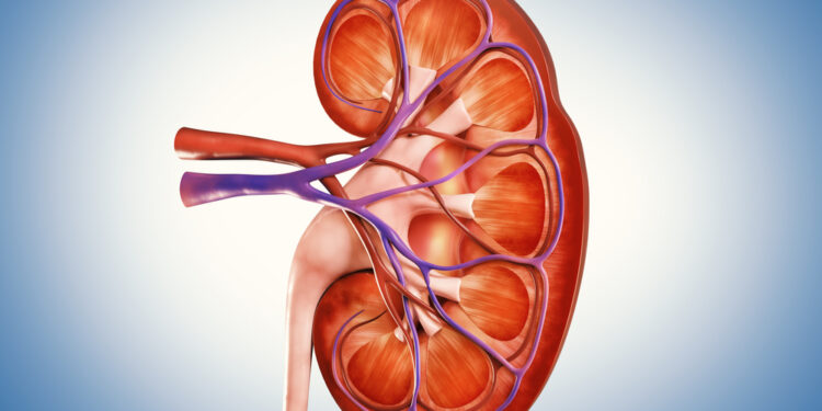 IgA nefropatija (Bergerio liga): simptomai ir gydymas