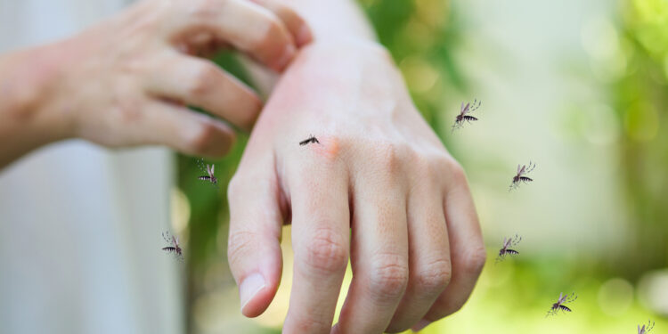 Parazitinės infekcijos: priežastys, simptomai ir gydymas