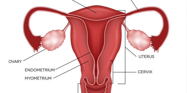 Mayerio–Rokitanskio–Kiusterio–Hauser sindromas: apžvalga