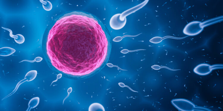 Oligospermija (sumažėjęs spermatozoidų kiekis): priežastys ir gydymas