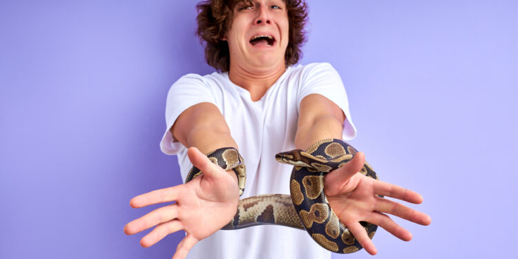Ophidofobija (gyvačių baimė): priežastys, simptomai ir gydymas