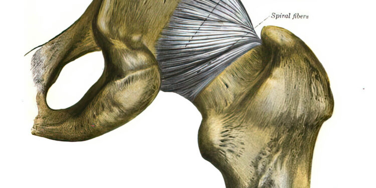 Kalnelio–Sachso pažeidimas: kas tai, simptomai ir gydymas